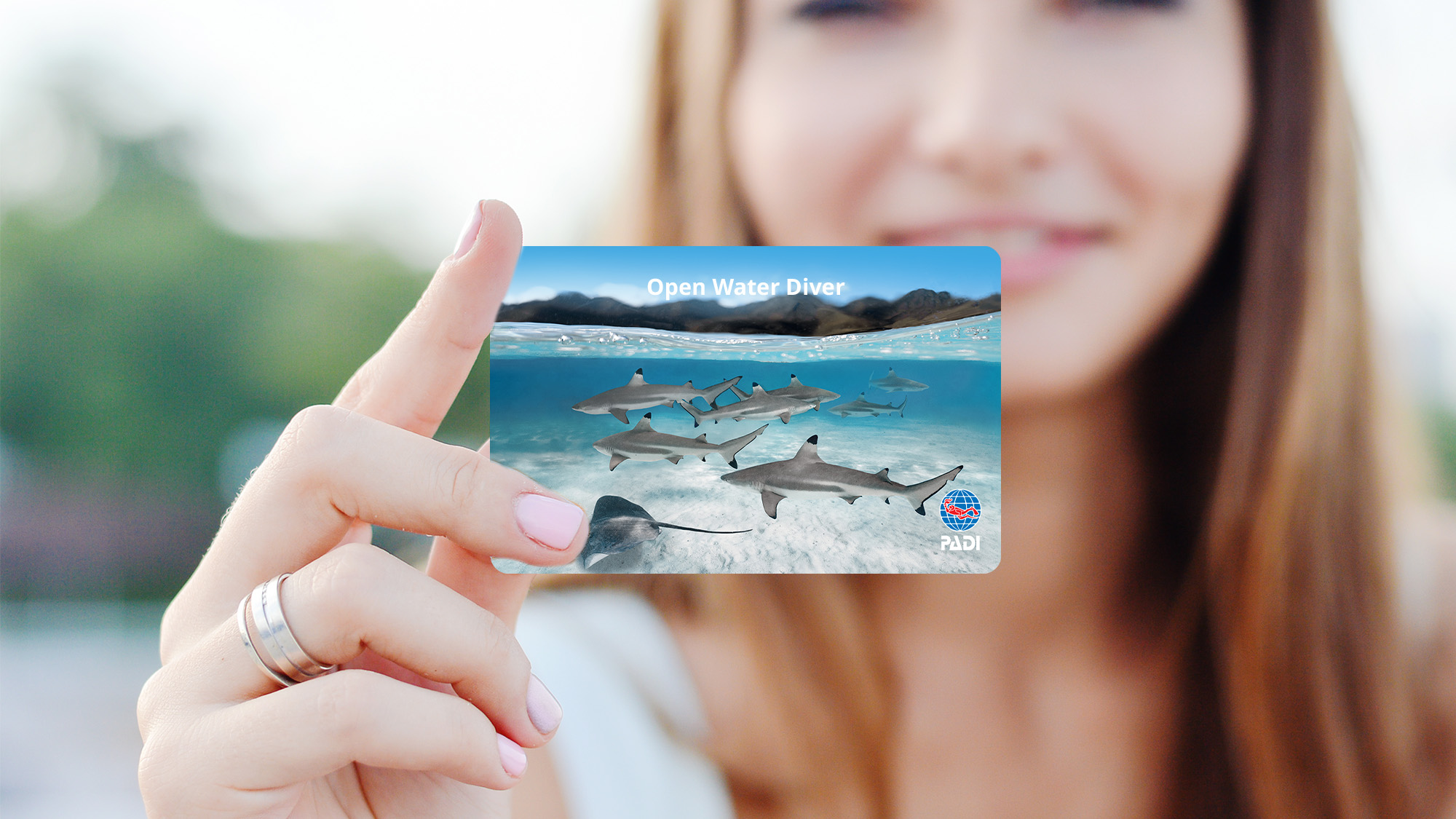 Reef Sharks Replacement Card Hero 2000 x 1125.jpg Reef Sharks Replacement Card Hero