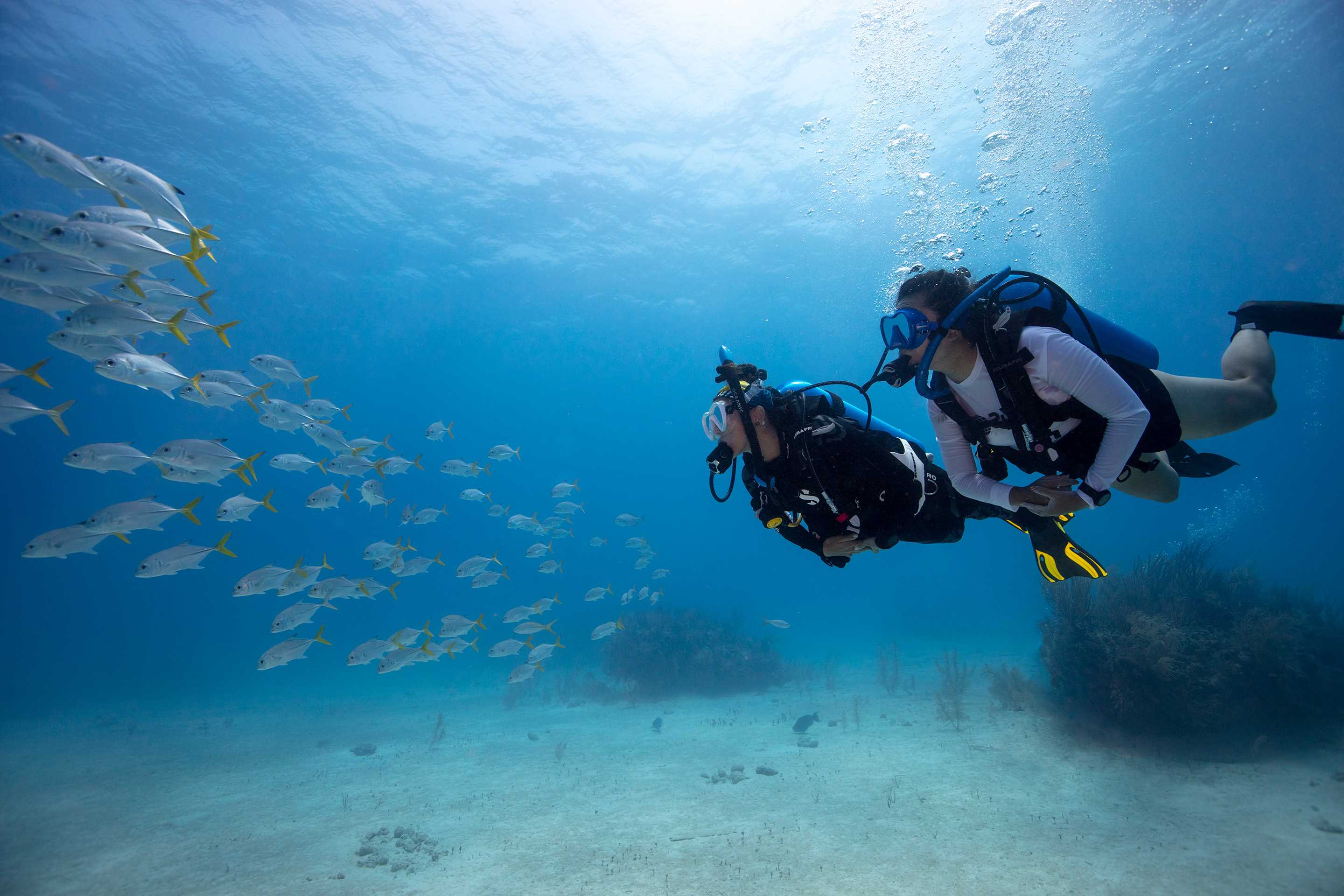 two women divers