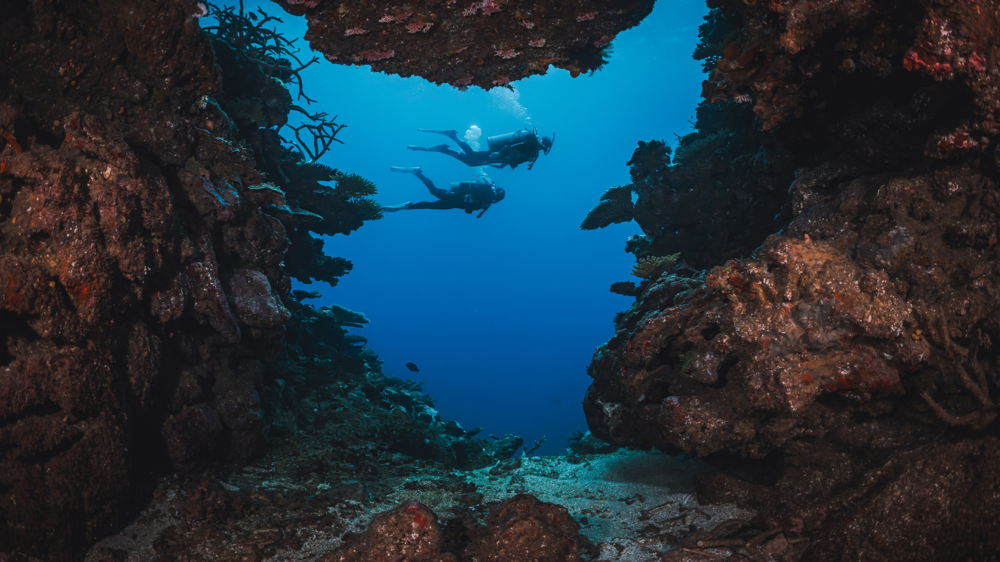 2 scuba divers exploring underwater between rock formations