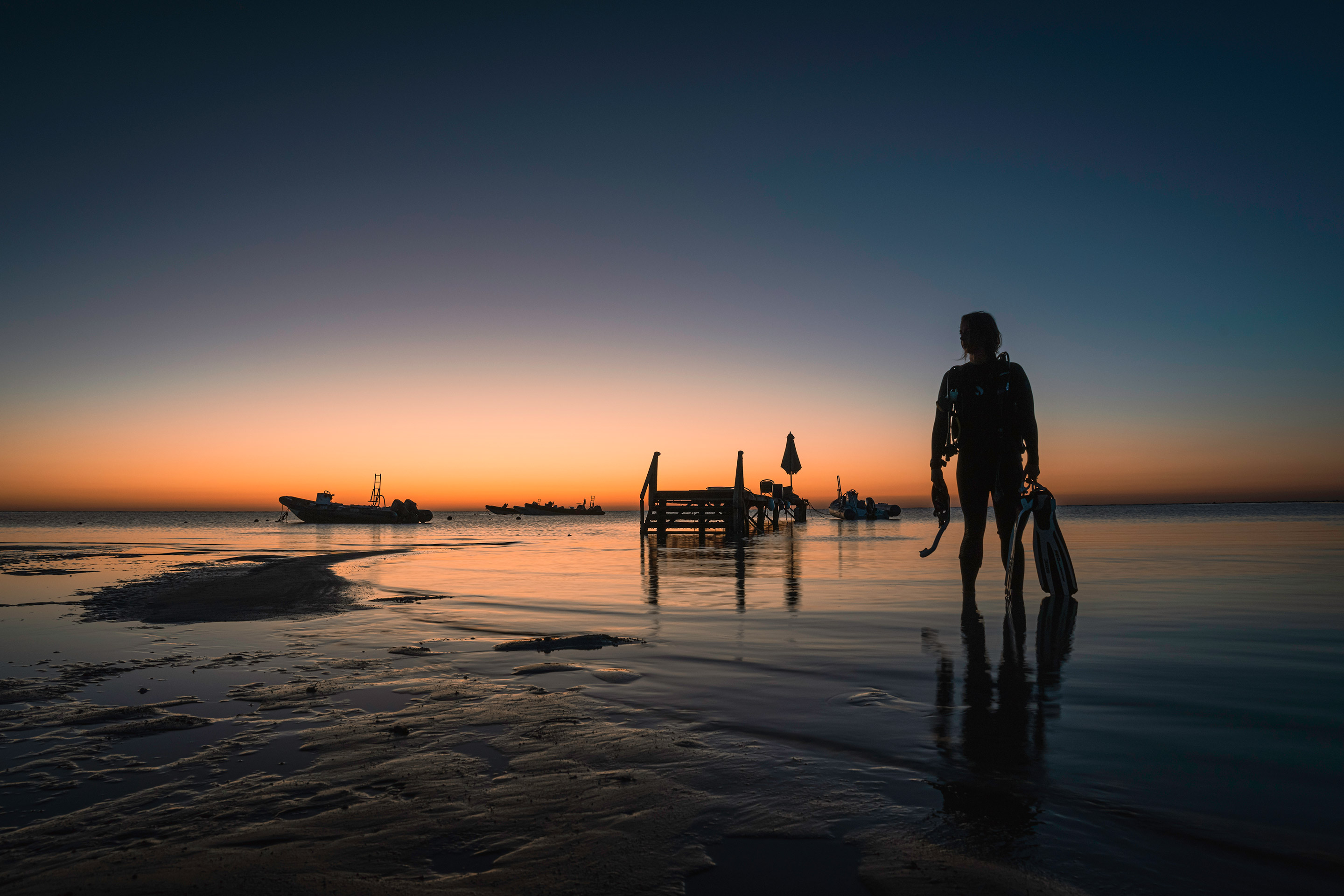 Diver carrying gear in the sunset at the beach.