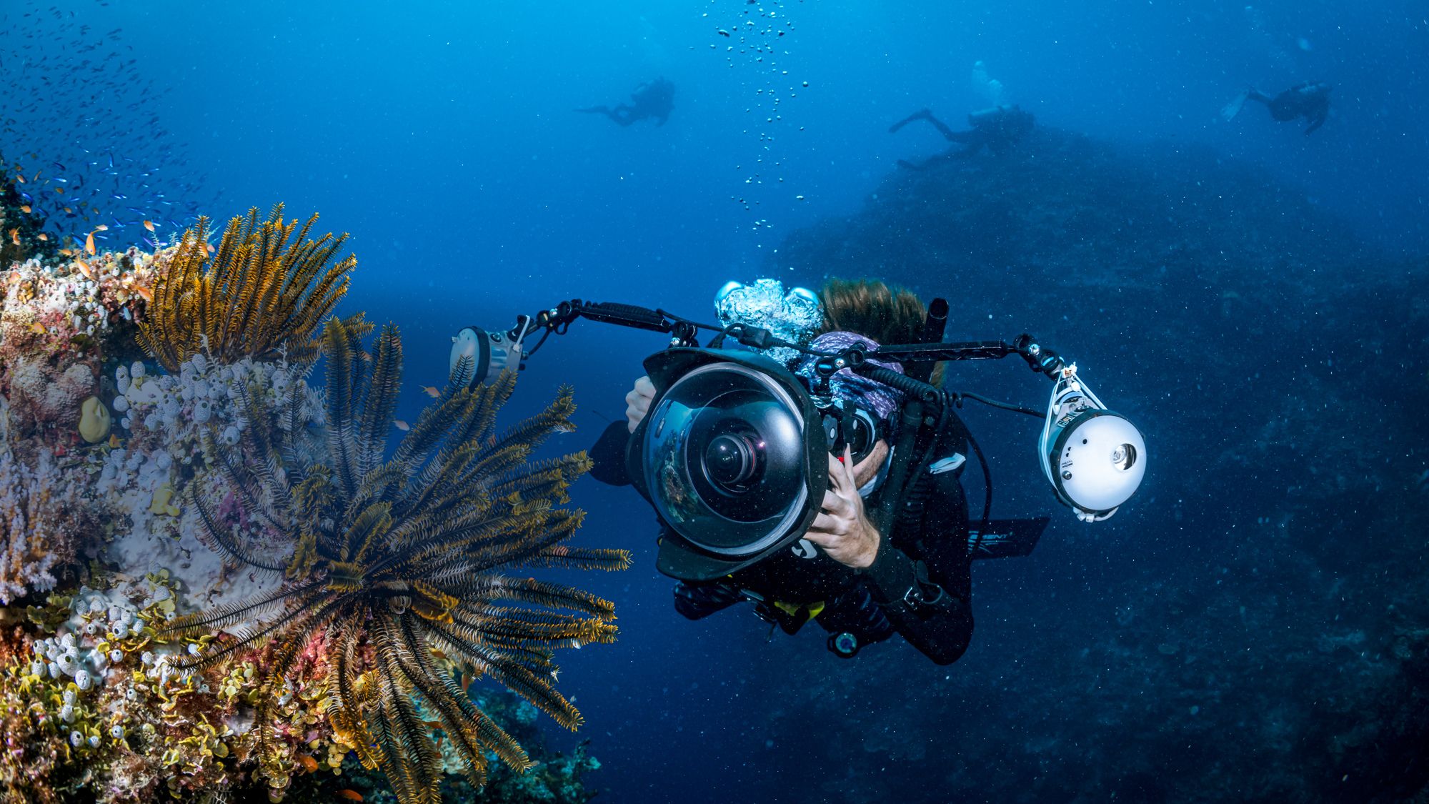 Scuba diver using an underwater camera with dual strobes to photograph coral