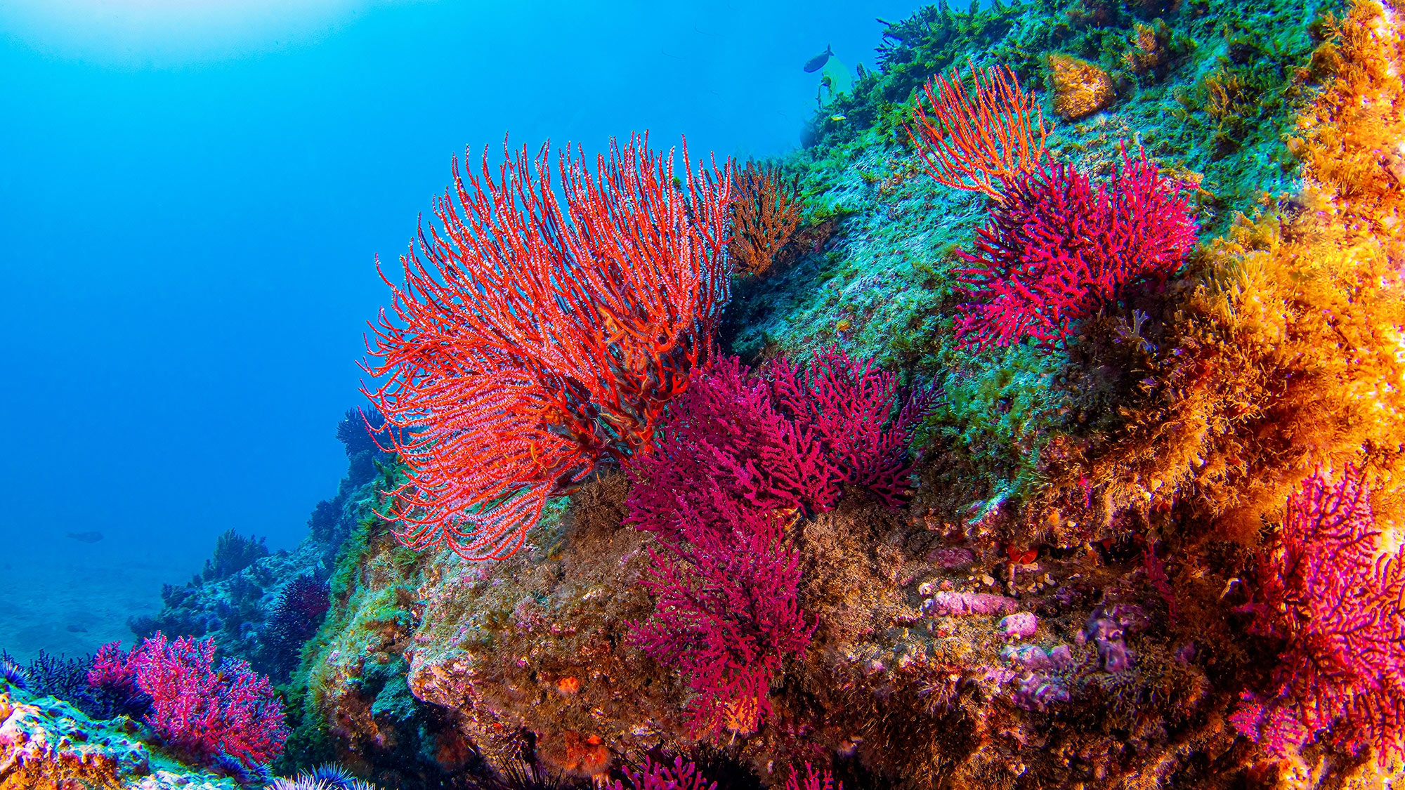 homepage-hero-holiday-FINAL2