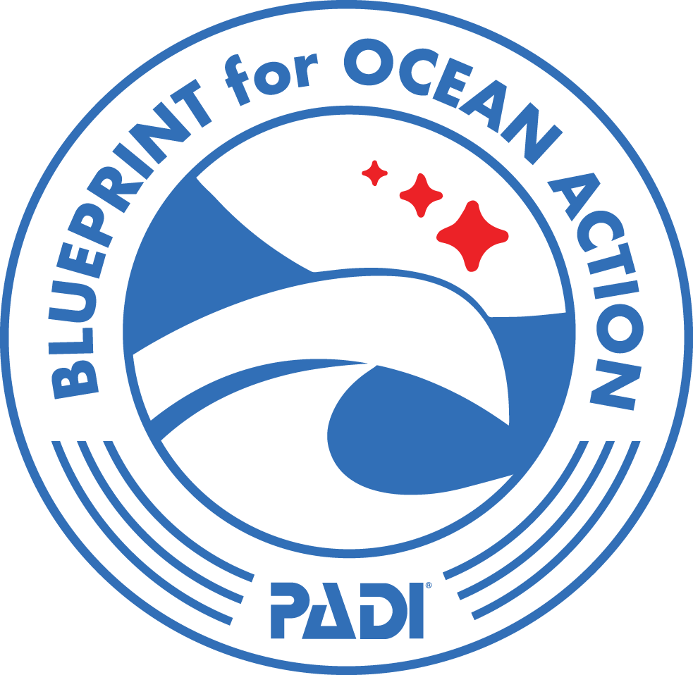 PADI Blueprint for Ocean Action(해양 액션을 위한 청사진) 로고