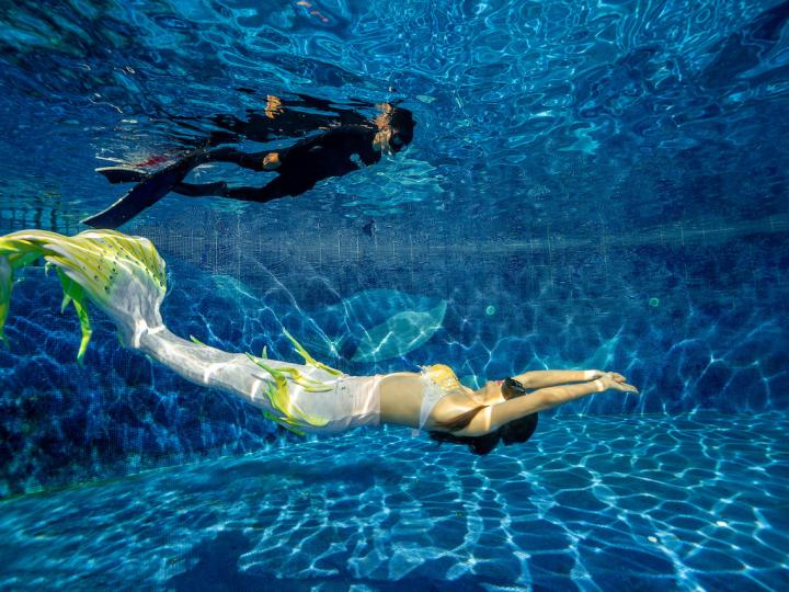 Mermaid Education Hero