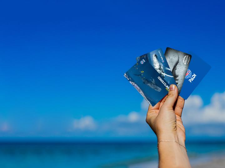 PADI-Hero-Default-CertCards