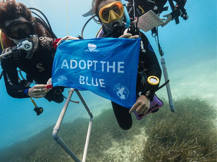 Divers holding up an Adopt the Blue flag featuring Blancpain.
