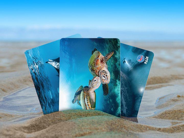 physical certification cards on the beach sand