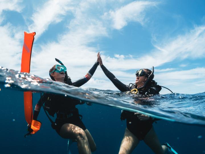Two divers giving each other a high five.