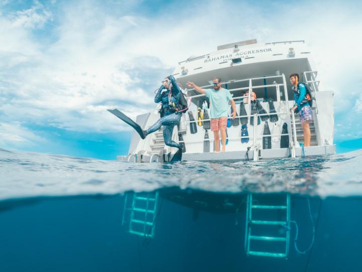 A diver ready to jump in water.