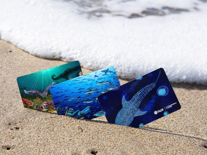 black friday cert cards