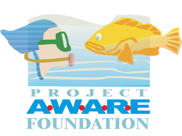 Old Logo