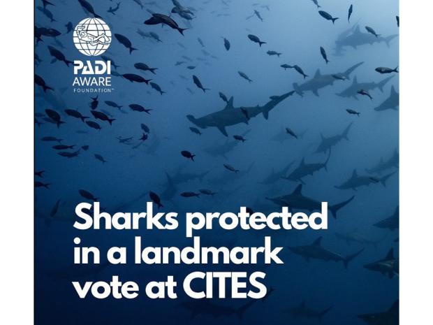 padi-aware-cites