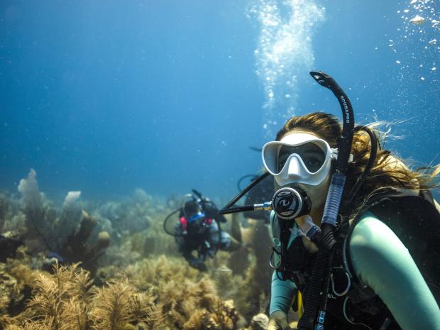 Diver taking a photo with the coral bed.