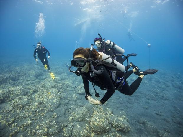 Three divers swimming underwater discovering the ocean floor.