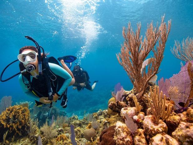 open-water-diver