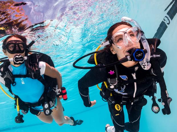 Two divers swimming through the ocean.