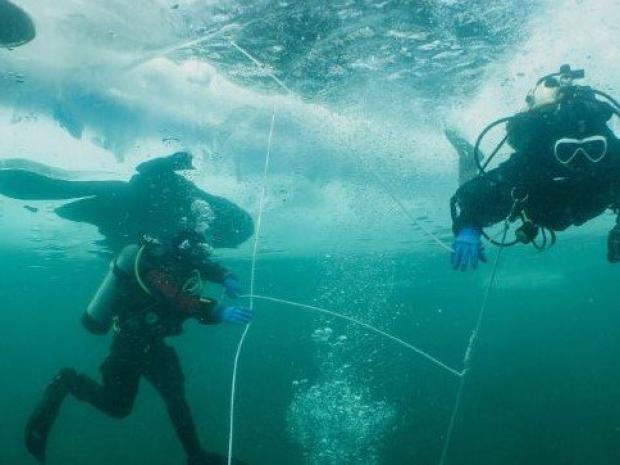 Two divers doing ice diving