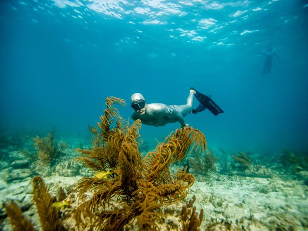 Freediver in midwater