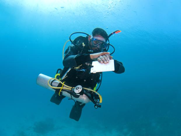 Diver with dive slate and pony bottle