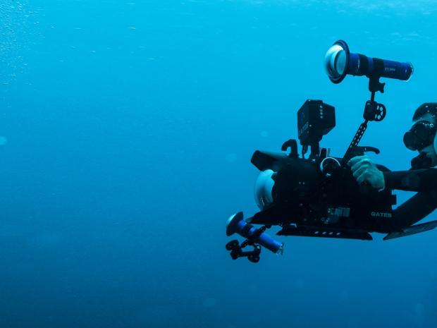 scuba diver with a underwater camera