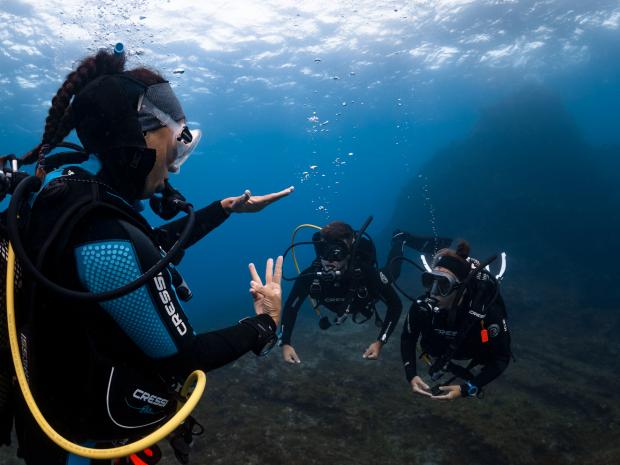 A group of divers are guided through the ocean.
