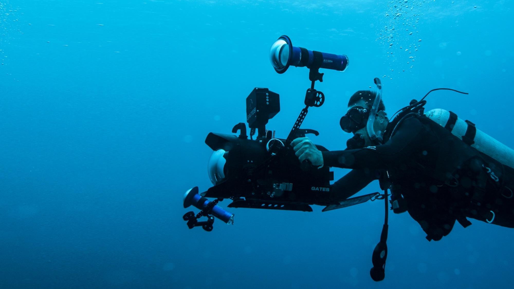 PADI Underwater Videographer course