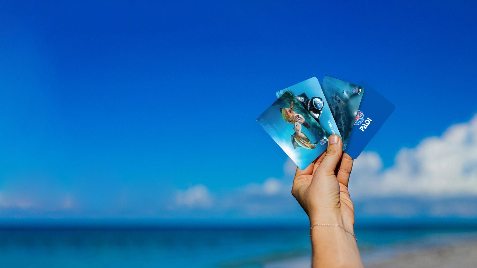 human arm holding multiple certification cards