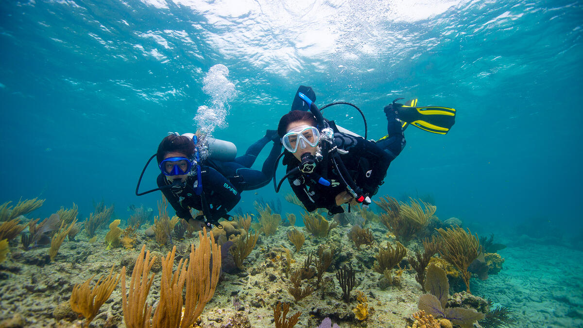 2. scuba divers exploring