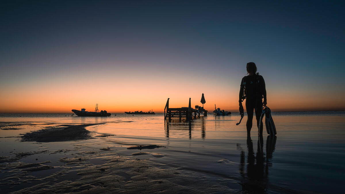 Diver carrying gear in the sunset at the beach.